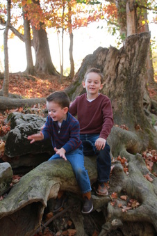 Enlarge photo 142