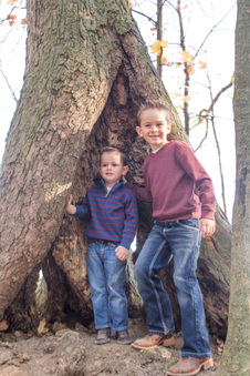 Enlarge photo 150