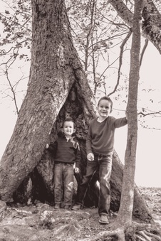 Enlarge photo 164