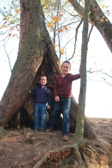 Enlarge photo 165