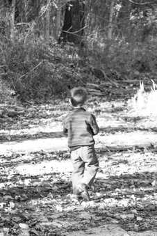 Enlarge photo 169