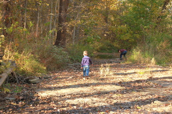 Enlarge photo 175