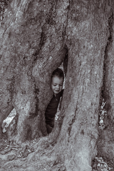Enlarge photo 199