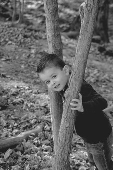 Enlarge photo 222