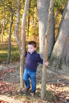 Enlarge photo 228