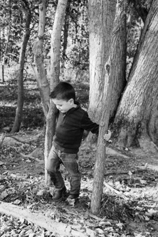 Enlarge photo 230