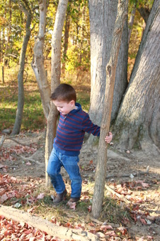 Enlarge photo 231