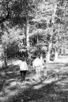Enlarge photo 259