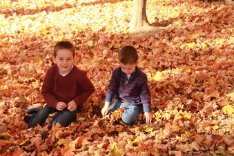 Enlarge photo 270