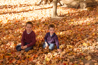 Enlarge photo 271