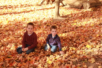 Enlarge photo 272