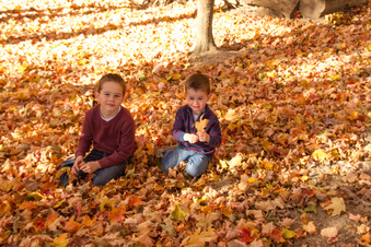 Enlarge photo 273