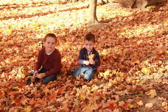 Enlarge photo 274
