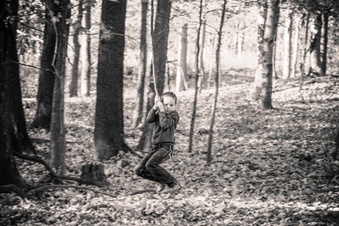 Enlarge photo 342
