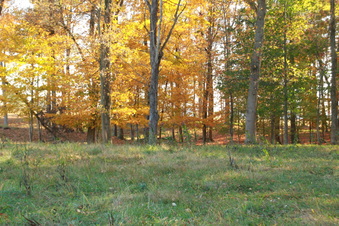 Enlarge photo 391