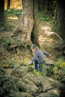 Enlarge photo 42