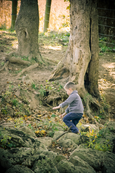 Enlarge photo 43