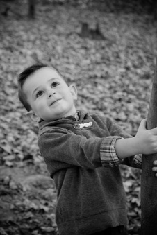 Enlarge photo 181