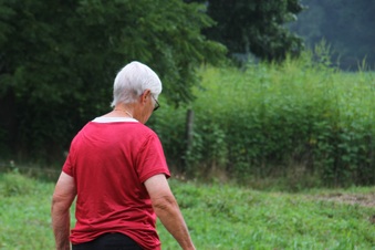 Enlarge photo 213
