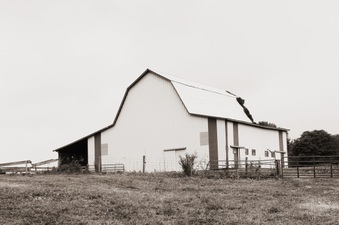 Enlarge photo 217