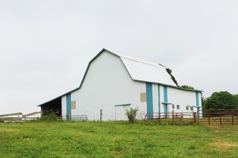 Enlarge photo 218