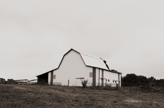 Enlarge photo 220