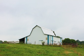 Enlarge photo 221