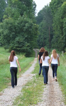 Enlarge photo 223