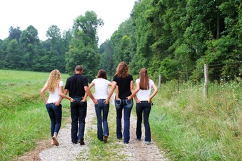 Enlarge photo 246