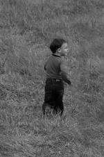 Enlarge photo 97