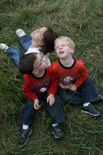 Enlarge photo 91