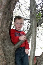 Enlarge photo 67