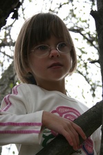 Enlarge photo 60