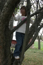 Enlarge photo 57
