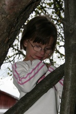 Enlarge photo 55