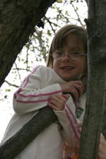 Enlarge photo 53