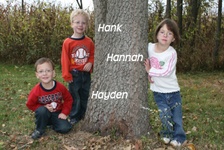 Enlarge photo 35