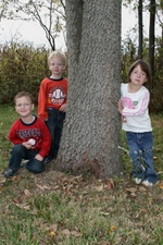 Enlarge photo 34