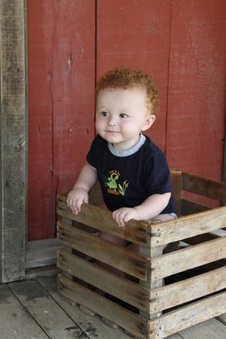 Enlarge photo 43