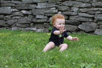 Enlarge photo 145