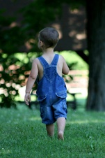 Enlarge photo 92