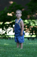 Enlarge photo 93