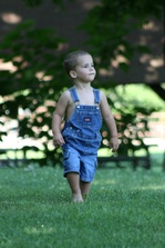 Enlarge photo 95