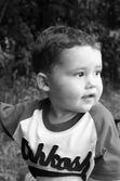 Enlarge photo 11