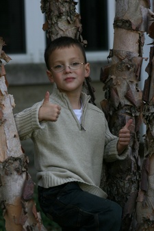 Enlarge photo 80