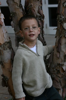 Enlarge photo 74