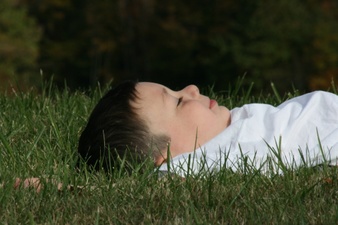 Enlarge photo 87