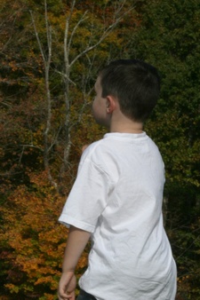 Enlarge photo 82