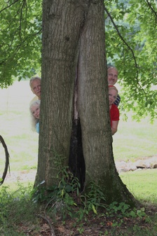 Enlarge photo 35