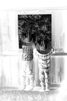 Enlarge photo 80